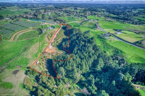 Photo of property in 299c Whakamarama Road, Whakamarama, 3179