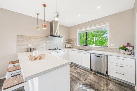 Photo of property in 17 Exeter Lane, Rolleston, 7614