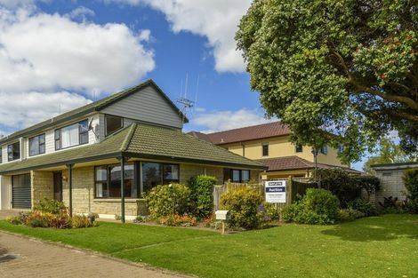 Photo of property in 81a Sixth Avenue, Tauranga, 3110