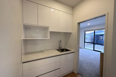 Photo of property in 13 Paripari Street, Flat Bush, Auckland, 2019