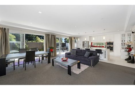 Photo of property in 33 Euphrasie Drive, Aidanfield, Christchurch, 8025