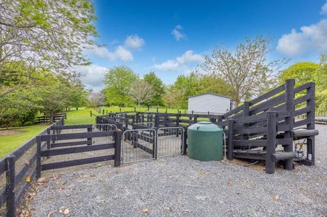 Photo of property in 47 Raynes Road, Rukuhia, Hamilton, 3282