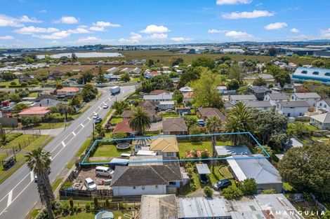 Photo of property in 123 Favona Road, Favona, Auckland, 2024