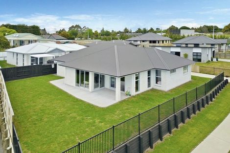 Photo of property in 70 Tynan Street, Te Puke, 3119