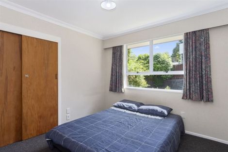 Photo of property in 32 Lynwood Place, Brookfield, Tauranga, 3110