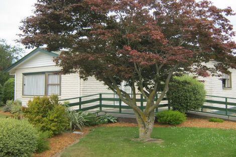 Photo of property in 38 Campbell Street, Geraldine, 7930