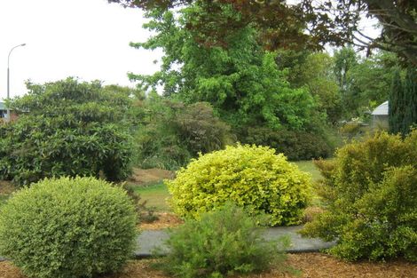 Photo of property in 38 Campbell Street, Geraldine, 7930