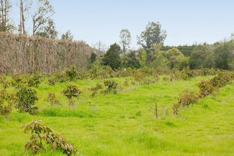 Photo of property in 30b Thompsons Track, Aongatete, 3178