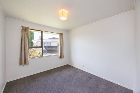 Photo of property in 132 Stanford Street North, Ashhurst, 4810
