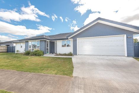 Photo of property in 10 Buckingham Place, Springvale, Whanganui, 4501