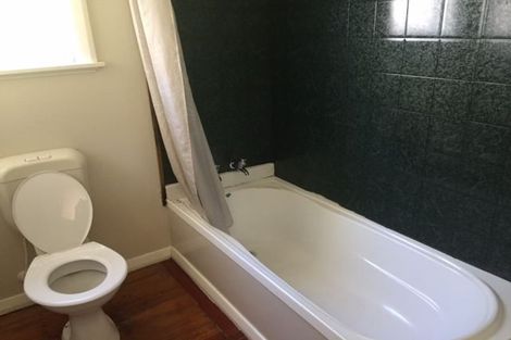 Photo of property in 17 Connolly Avenue, Mount Roskill, Auckland, 1041