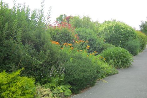 Photo of property in 38 Campbell Street, Geraldine, 7930