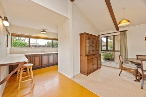 Photo of property in 25 Bailey Avenue, Claudelands, Hamilton, 3214