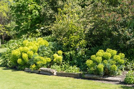 Photo of property in 35 Konini Street, Lansdowne, Masterton, 5810