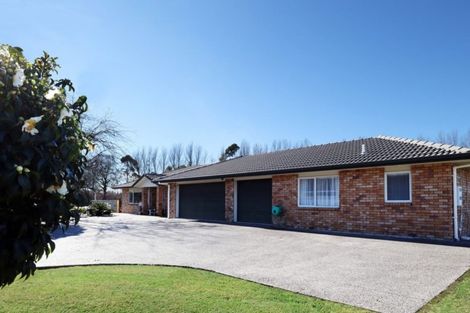 Photo of property in 175 Oropi Road, Oropi, Tauranga, 3173