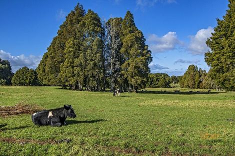 Photo of property in 93 Station Road, Kaikohe, 0474