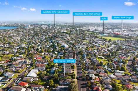 Photo of property in 199 Forrest Hill Road, Forrest Hill, Auckland, 0620
