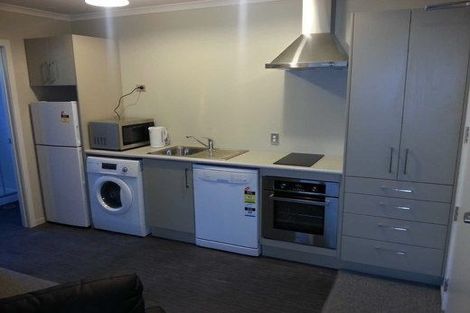 Photo of property in 58 Willoughby Street, Whitiora, Hamilton, 3200