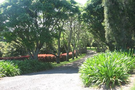 Photo of property in 55 Plummers Point Road, Whakamarama, Tauranga, 3172