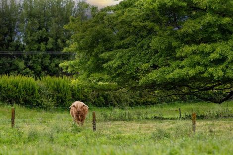 Photo of property in 112 Cochrane Road, Ngahinapouri, Ohaupo, 3882