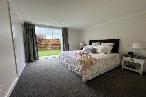 Photo of property in 161 Rimu Street, Maeroa, Hamilton, 3200