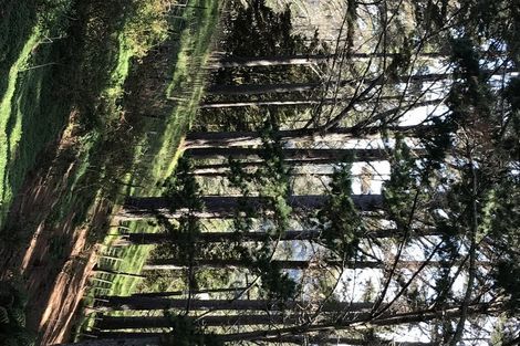 Photo of property in 75 Parakiore Road, Ngararatunua, Whangarei, 0176