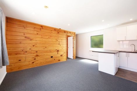 Photo of property in Te Awhina Apartments, 17/22 Sussex Street, Mount Cook, Wellington, 6021
