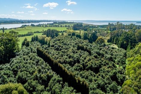 Photo of property in 159 Walker Road East, Aongatete, Katikati, 3178