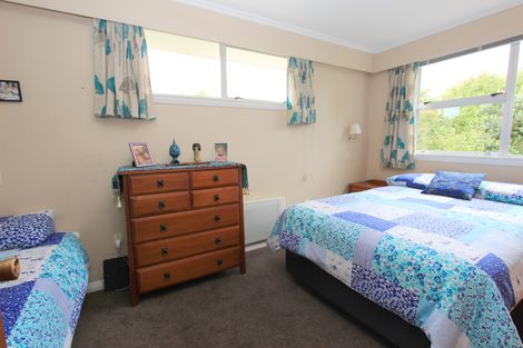 Photo of property in 1 Carlyle Crescent, Witherlea, Blenheim, 7201