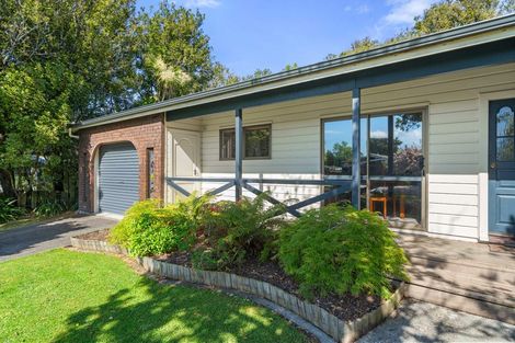 Photo of property in 21 Liverpool Street, Solway, Masterton, 5810
