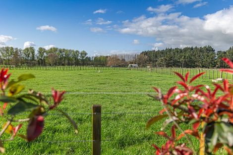 Photo of property in 9 Wallace Road, Koputaroa, Levin, 5571