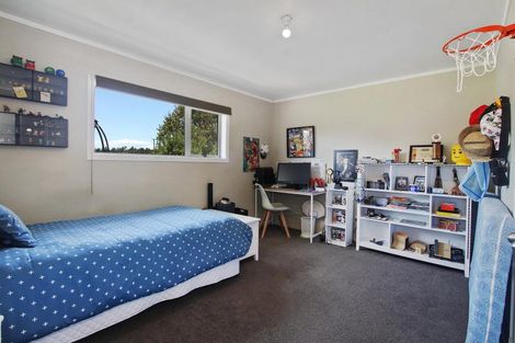 Photo of property in 550 Waiau Pa Road, Waiau Pa, Pukekohe, 2679