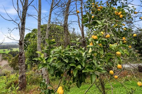 Photo of property in 497a Tara Road, Mangawhai, 0573