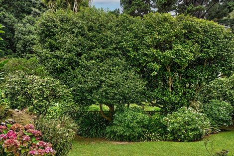 Photo of property in 17 Grass Street, Oriental Bay, Wellington, 6011