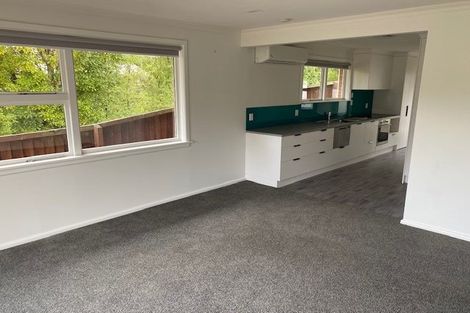 Photo of property in 39a Aynsley Terrace, Hillsborough, Christchurch, 8022