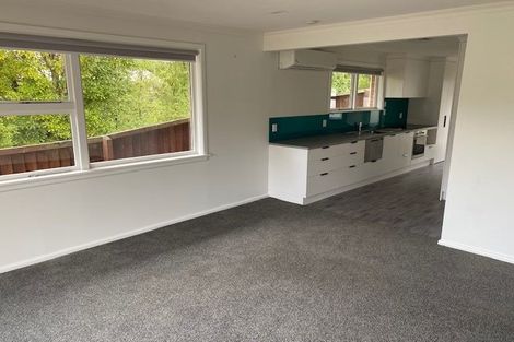 Photo of property in 39a Aynsley Terrace, Hillsborough, Christchurch, 8022