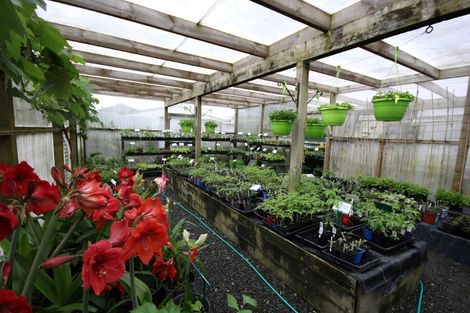 Photo of property in 13 Jellicoe Road, Ruawai, 0530