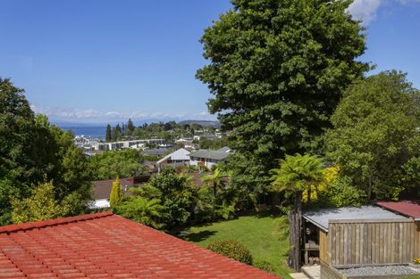 Photo of property in 47 Woodward Street, Nukuhau, Taupo, 3330
