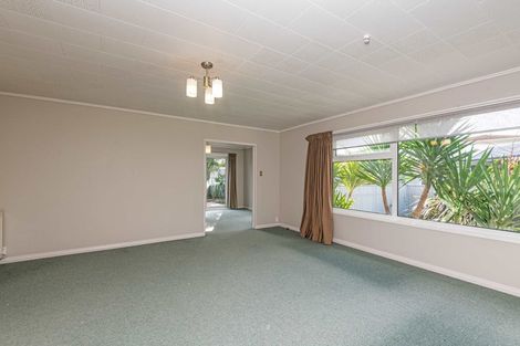 Photo of property in 95 Dittmer Drive, West End, Palmerston North, 4412