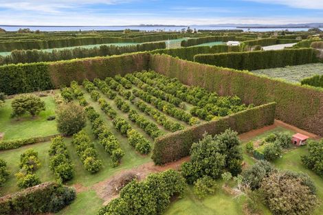 Photo of property in 92 Pukakura Road, Katikati, 3178