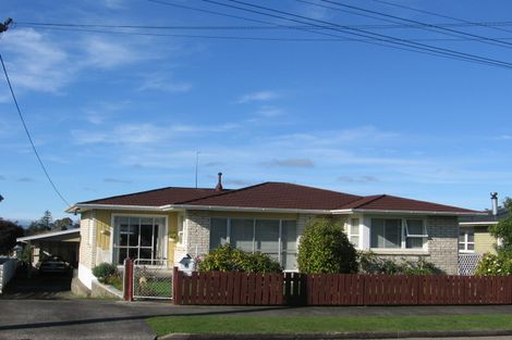 Photo of property in 15 Mcclure Street, Feilding, 4702