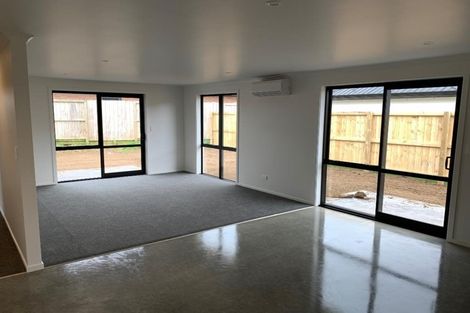 Photo of property in 30 Ladeira Place, Fitzroy, Hamilton, 3206