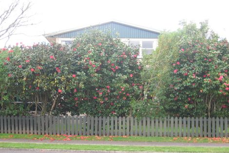 Photo of property in 185 Te Hono Street, Maungatapu, Tauranga, 3112