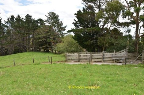 Photo of property in 318 Franklin Road, Paparoa, 0571