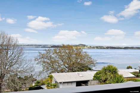 Photo of property in 3 Hames Terrace, Hillsborough, Auckland, 1042