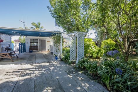 Photo of property in 19 Douglas Street, Levin, 5510