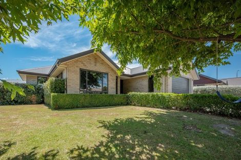 Photo of property in 29 Tremorne Avenue, Blenheim, 7201