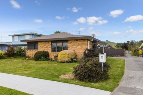 Photo of property in 11 Buick Street, Redwoodtown, Blenheim, 7201