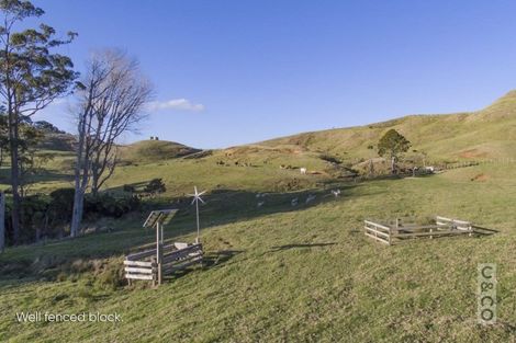 Photo of property in 208 Valley Road, Mangapapa, Gisborne, 4010