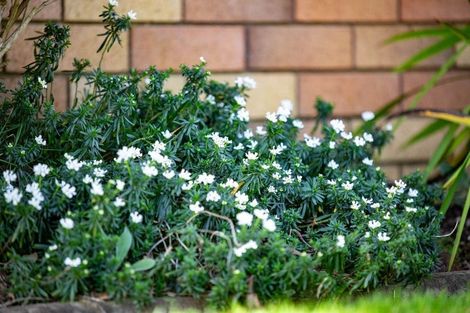 Photo of property in 10 Lochinver Drive, Nawton, Hamilton, 3200